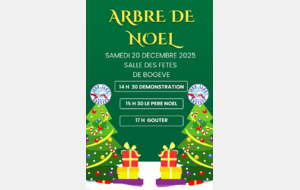 ARBRE DE NOËL 2025