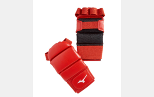 Gants Jiu-jitsu MIZUNO