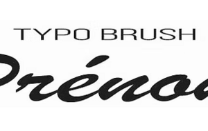 🥋 Ceinture de Judo Bi-Couleur – Semi-Rigide