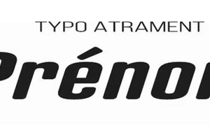 CEINTURE RIGIDE MARRON