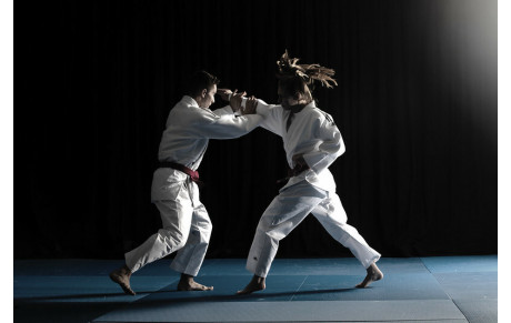 MINIMES 2014-2013 JU-JITSU