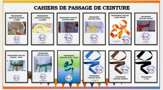 CAHIER PROGRAMME POUR PASSAGE DE CEINTURE